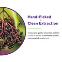 doctor-s-recipes-elderberry-extract-with-6.jpg