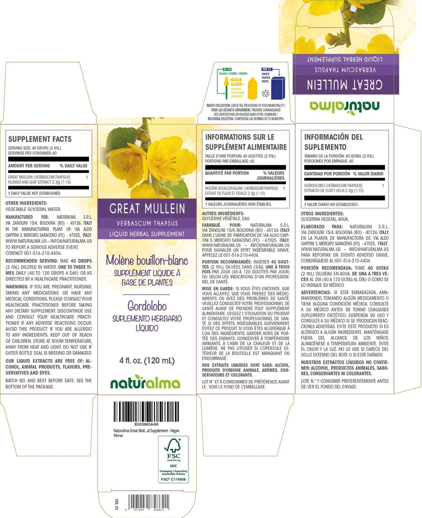 naturalma-great-mullein-or-common-mullei-2.jpg