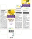 naturalma-great-mullein-or-common-mullei-2.jpg