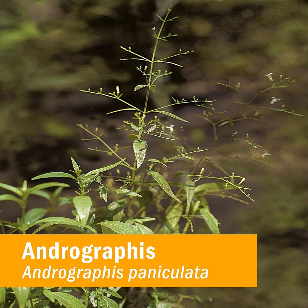 herb-pharm-andrographis-liquid-extract-f-5.jpg