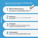 scimeramd-scimune-immune-support-supplem-5.jpg