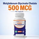 vitamatic-chelated-molybdenum-500-mcg-as-6.jpg