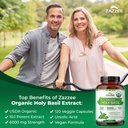 zazzee-usda-organic-holy-basil-101-extra-4.jpg