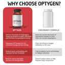 first-endurance-optygen-premium-enduranc-3.jpg