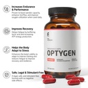first-endurance-optygen-premium-enduranc-2.jpg