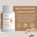 l-ergothioneine-plus-organic-blend-of-co-6.jpg