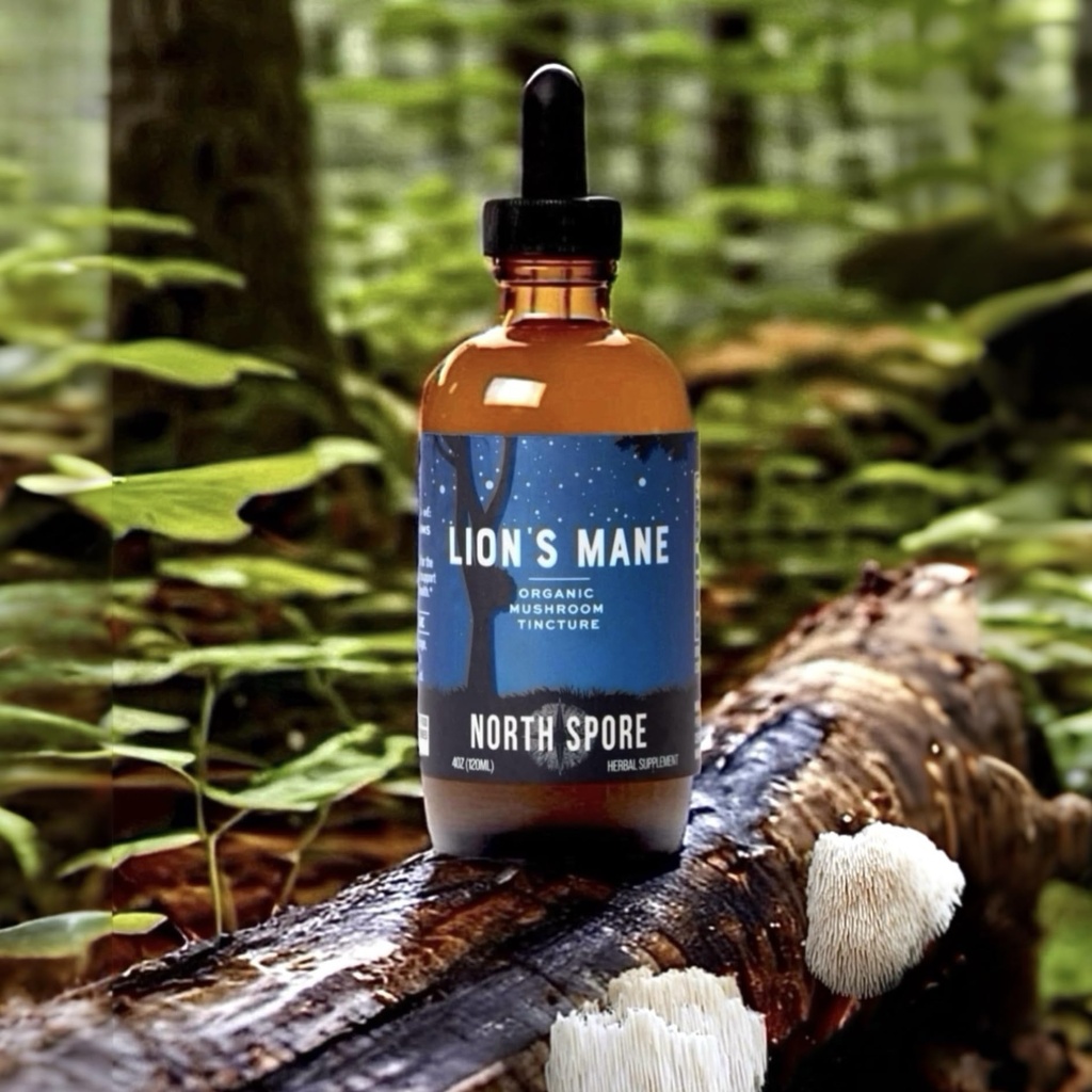north-spore-organic-lion-s-mane-mushroom-6.jpg