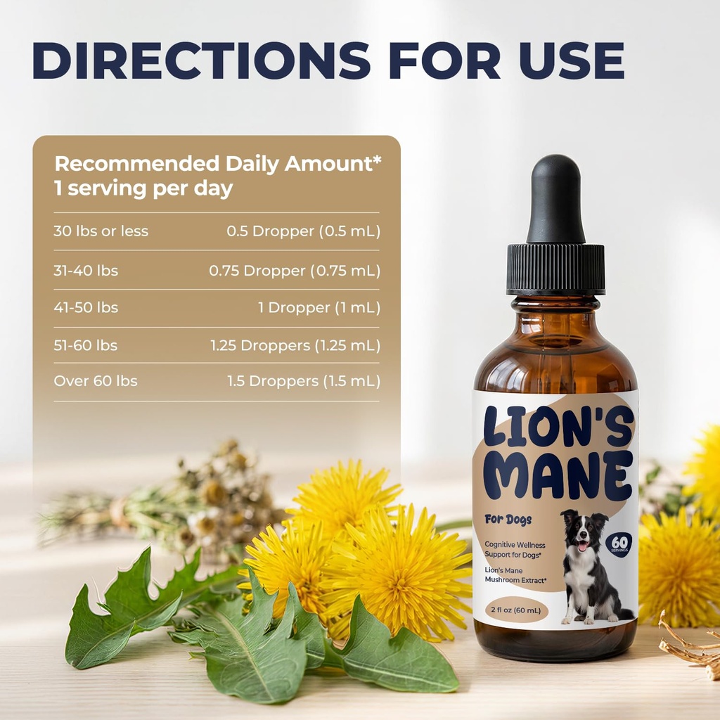 lion-s-mane-mushroom-drops-for-dogs-cogn-4.jpg