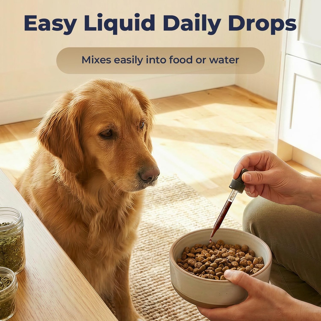 lion-s-mane-mushroom-drops-for-dogs-cogn-6.jpg