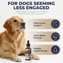 lion-s-mane-mushroom-drops-for-dogs-cogn-2.jpg