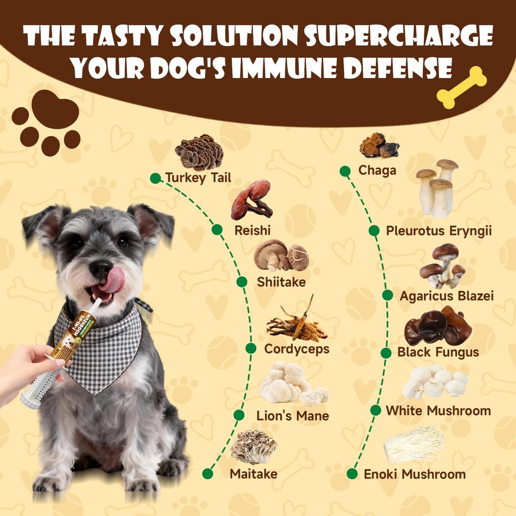 mushrooms-for-dogs-turkey-tail-mushroom--4.jpg