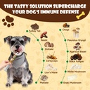 mushrooms-for-dogs-turkey-tail-mushroom--4.jpg
