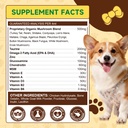 mushrooms-for-dogs-turkey-tail-mushroom--6.jpg