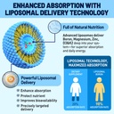 liposomal-boron-liquid-drops-10-mg-boron-3.jpg