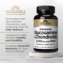 windmill-natural-vitamins-advanced-gluco-4.jpg