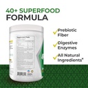 alpha-supps-alpha-greens-supplement-frui-6.jpg