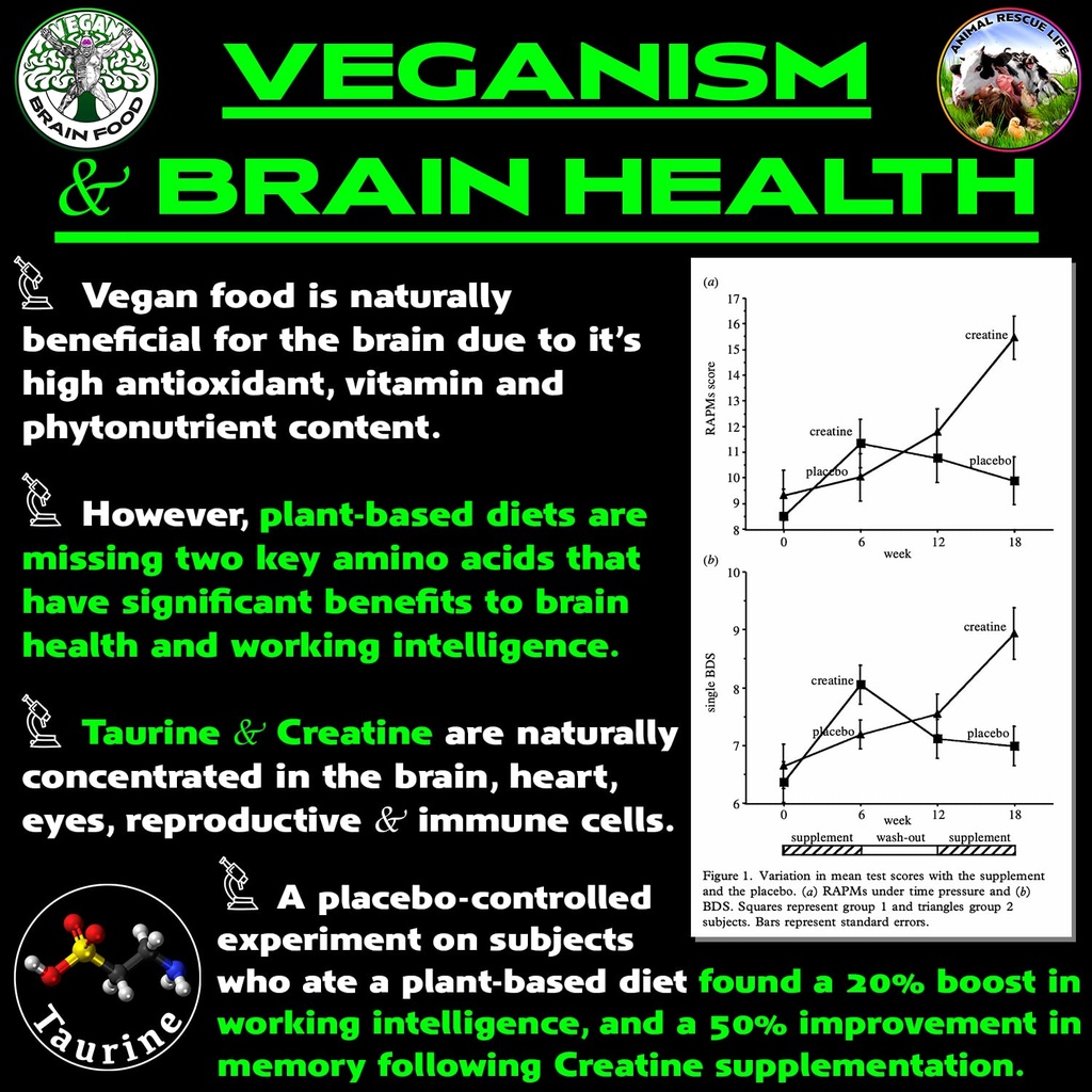 vegan-s-best-friend-plant-based-multivit-6.jpg