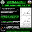 vegan-s-best-friend-plant-based-multivit-6.jpg