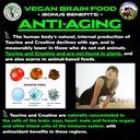 vegan-s-best-friend-plant-based-multivit-4.jpg