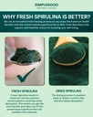 spirulina-cubes-high-protein-vitamin-ric-4.jpg