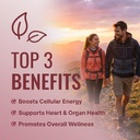 approved-science-coq10-md-extra-strength-2.jpg