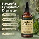 lymphoria-lymphatic-drainage-drops-lymph-3.jpg