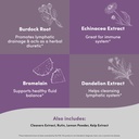 lymph-peak-lymphatic-drainage-supplement-4.jpg