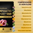 10-675mg-lymphatic-supplement-25-in-1-bl-2.jpg