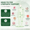 lymphatic-drainage-drops-with-21-in-1-he-4.jpg