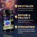 smarto-one-brain-nutrition-proprietary-b-5.jpg