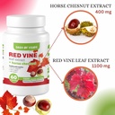 dash-of-vigor-red-vine-leaf-extract-viti-5.jpg
