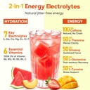 venture-pal-daily-energy-electrolytes-po-3.jpg