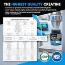 venture-pal-micronized-creatine-monohydr-6.jpg