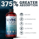 living-silica-orgono-collagen-booster-ve-6.jpg