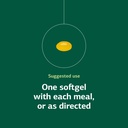 standard-process-inc-flax-oil-with-b6-su-5.jpg