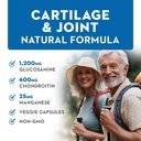 vitaminerals-128-glucosamine-joint-suppo-3.jpg