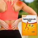 80-pcs-capsaicin-patches-capsicum-ginger-5.jpg