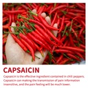 capsaicin-patches-50-pcs-extra-large-pat-3.jpg