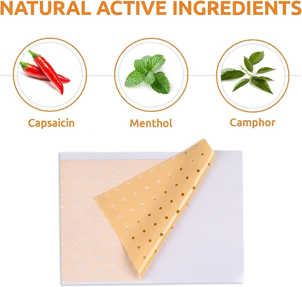 60-pcs-capsaicin-patches-pain-patches-ho-6.jpg