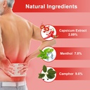 kongdy-capsaicin-patches-4-72-x7-08-hot--3.jpg