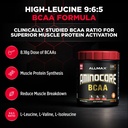 allmax-aminocore-bcaa-powder-for-workout-2.jpg