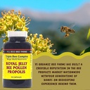 ys-organics-triple-bee-complex-royal-jel-4.jpg