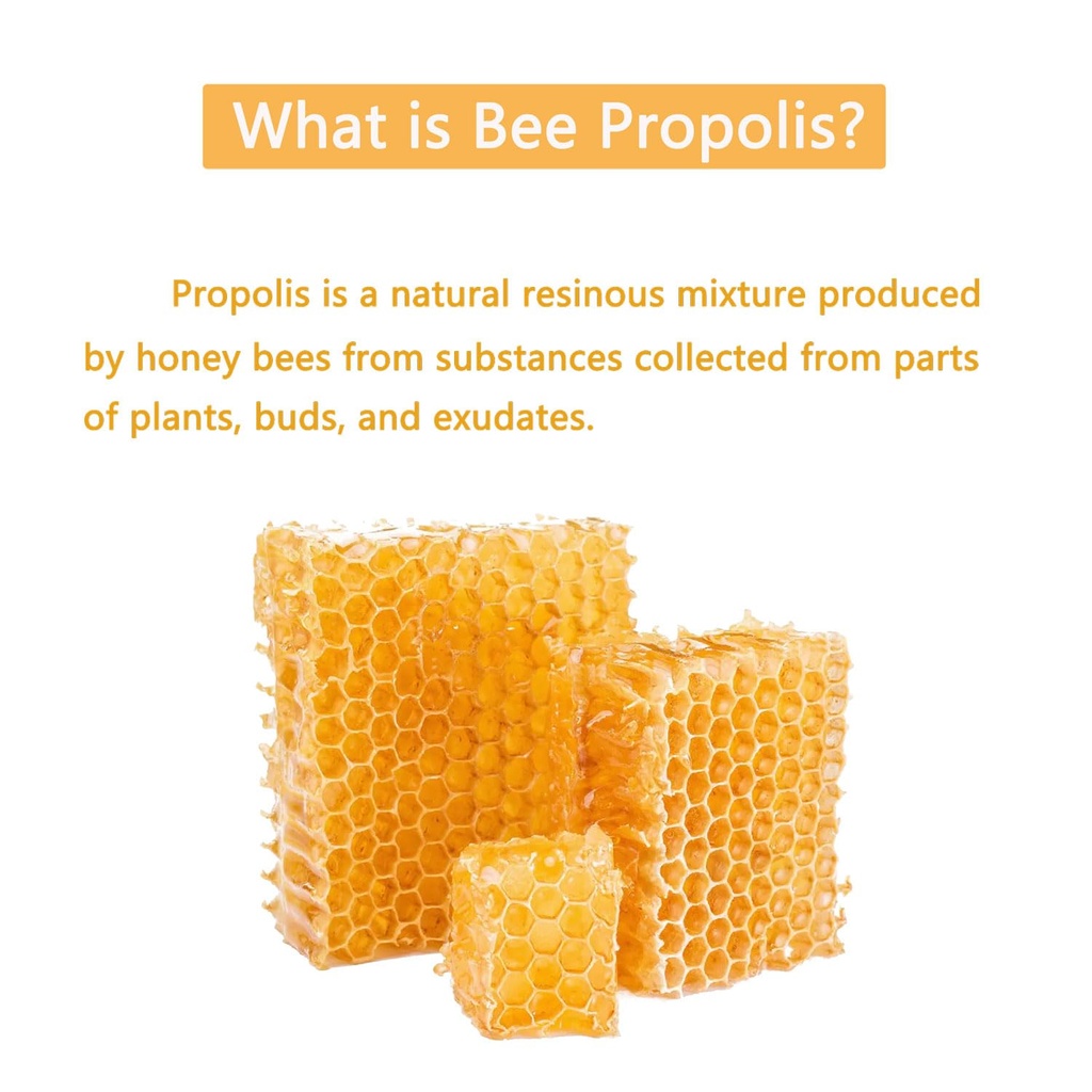 bee-propolis-for-dogs-cats-natural-immun-3.jpg