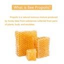 bee-propolis-for-dogs-cats-natural-immun-3.jpg