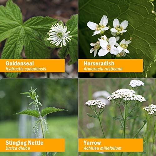 herb-pharm-pollen-defense-liquid-herbal--6.jpg