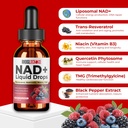 nad-liquid-drops-with-resveratrol-querce-2.jpg