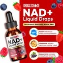 nad-liquid-drops-with-resveratrol-querce-4.jpg