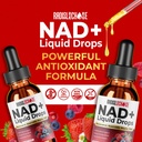 nad-liquid-drops-with-resveratrol-querce-3.jpg