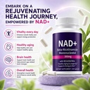 nad-supplement-500mg-nmn-with-resveratro-2.jpg