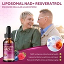 liposomal-nad-supplement-1200mg-nad-liqu-6.jpg